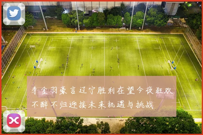 李金羽豪言辽宁胜利在望今夜狂欢不醉不归迎接未来机遇与挑战