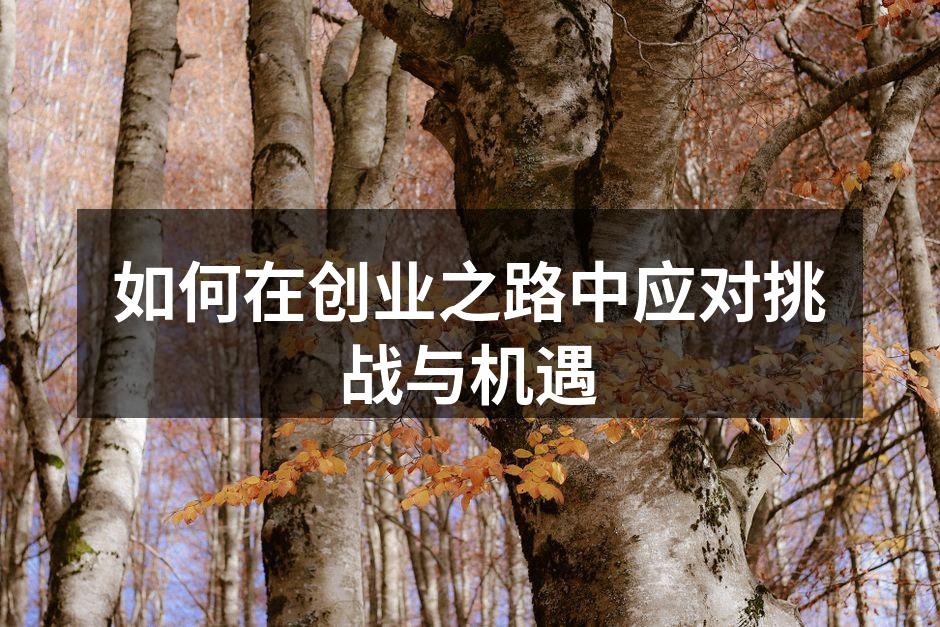 如何在创业之路中应对挑战与机遇